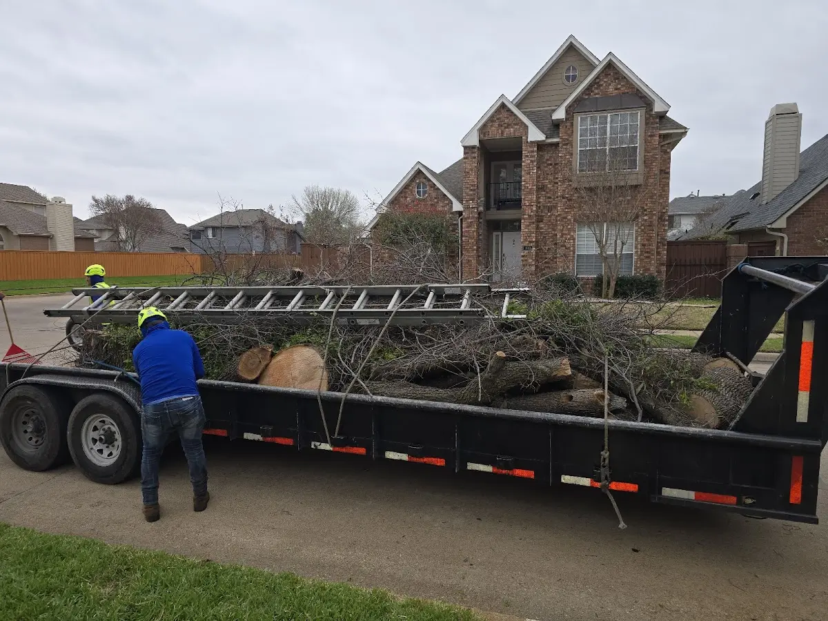 Expert Lot Clearing with proper safety equipment in West Burke